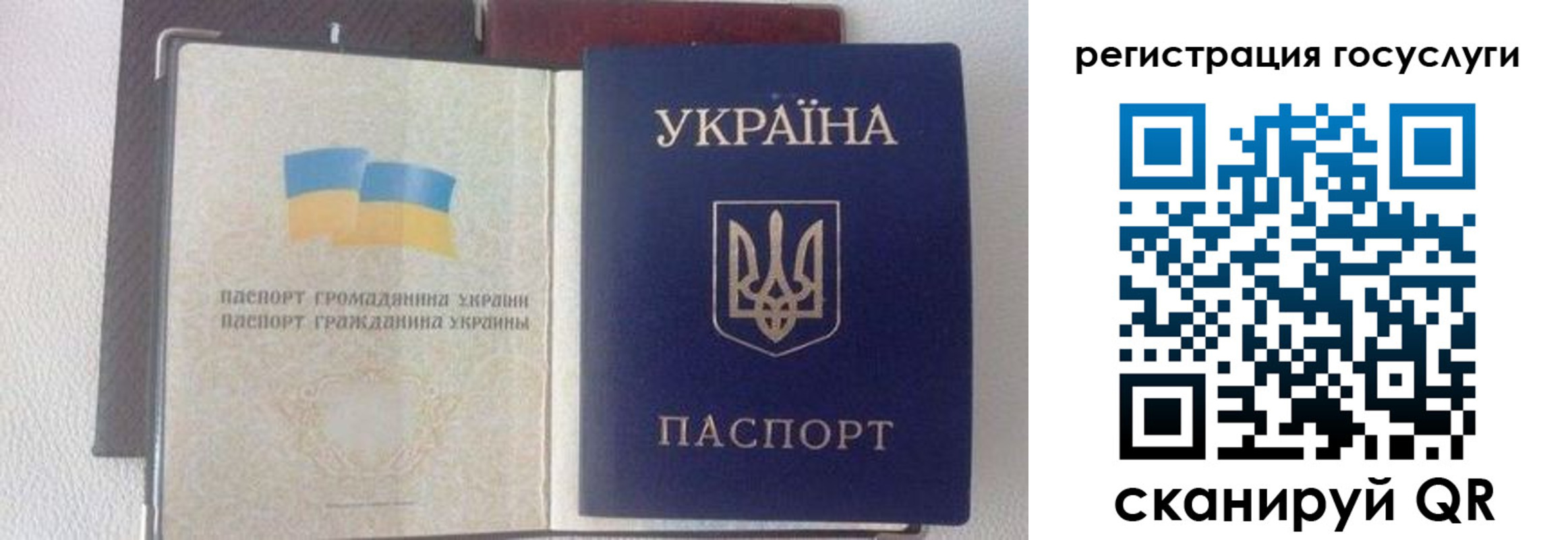 прописка для работы в Донском